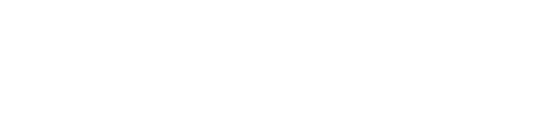 CAPITAL CONSULTING